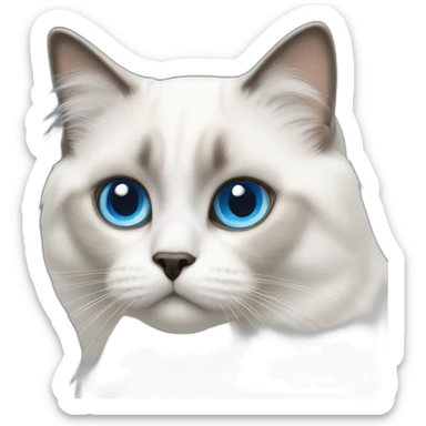 White birman cat blue eye sticker
