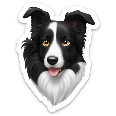 Black and white border collie erect ears sticker