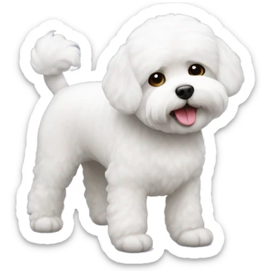 Bichon freise  sticker