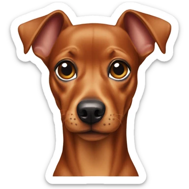Pinscher dwarf sticker