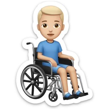 disabled person sticker