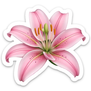Lily flower pink sticker