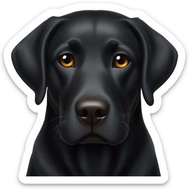 Black lab snoring sticker