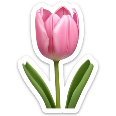 light pink tulips sticker