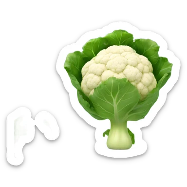 cauliflower looking in the mirror sticker
