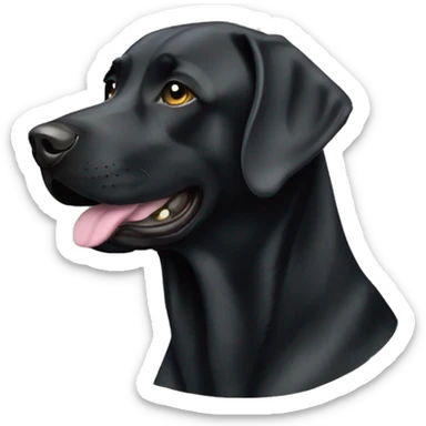 Black Labrador wearing camo sticker