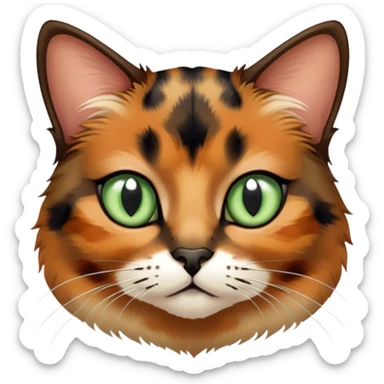 Tortoiseshell color cat with sage green eyes sticker