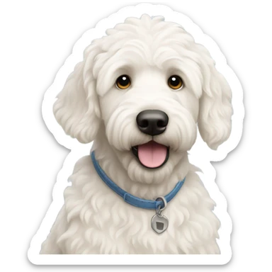 White labradoodle sticker