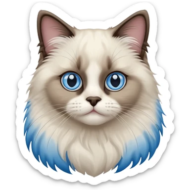Bicolor seal point Ragdoll cat  sticker