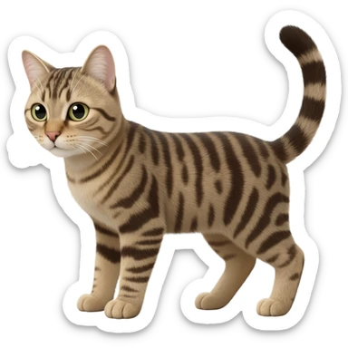 cat tabby Male sticker