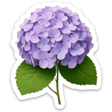 Hydrangea sticker