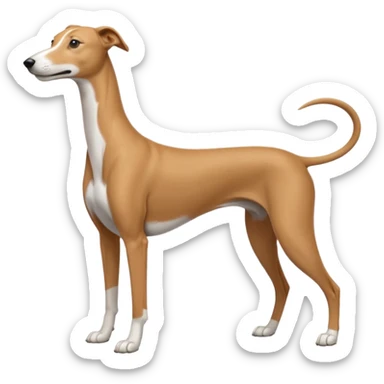 Greyhound sticker