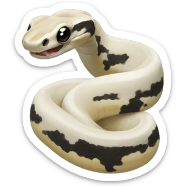 Pied python sticker