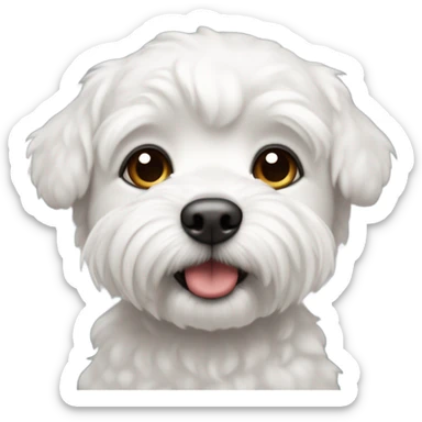 perro bichon maltés blanco sticker