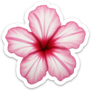 Hibiskus  sticker
