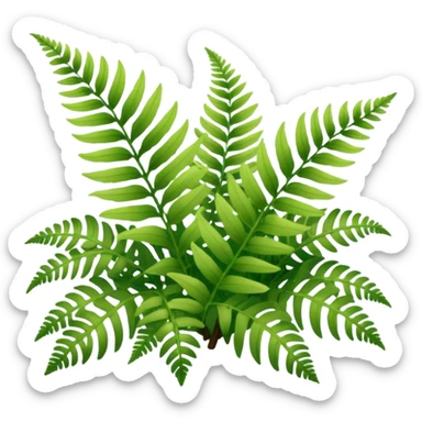 A cluster of soft green ferns growing under shaded trees. sticker