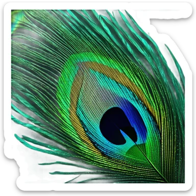 teal peacock feather sticker
