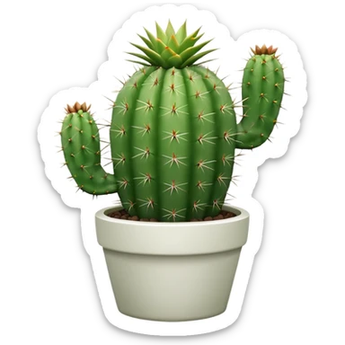 Cactus + white pot, Window Plants sticker