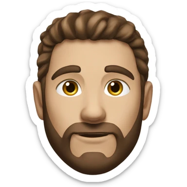 Baldurs gate 3 male warrior brown hair sw sticker