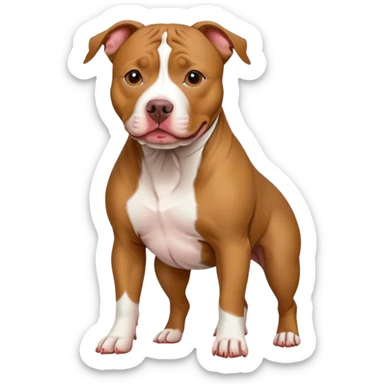 American pit bull terrier sticker