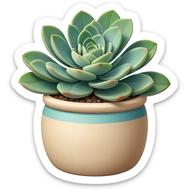 Sedum Pachyphyllum succulent with chubby blue-green leaves in a beige ceramic pot sticker