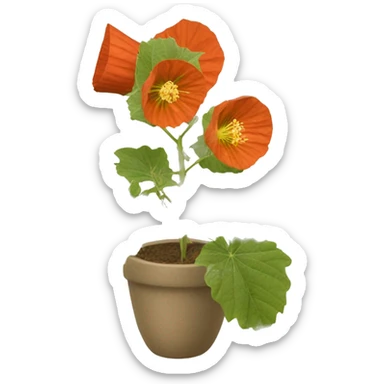 Abutilon hirtum	Buenos días sticker