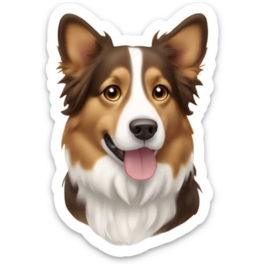 Corgi mix border collie brown long hair sticker