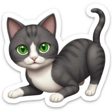 dark grey cat with green eyes, white toes/paws and white patch on her chest playfully rolling upside down sticker
