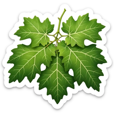 grape leaf with natural texture sticker