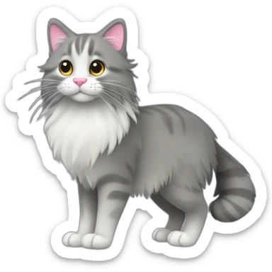 grey norweigian forest cat walking profile long whiskers furry and fluffy including the tail white front and back paws round big eyes a pink nose small ears sticker