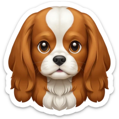 Cavalier King Charles Spaniel dog Preliminary Acceptance Inspection sticker
