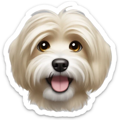 Havanese small dog with mostly light brown  fur with streaks of blonde fur and happy expression sticker