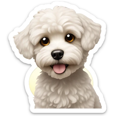 Maltipoo with sun behind sticker