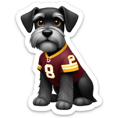 Black schnauzer wearing a Washington redskins jersey sticker