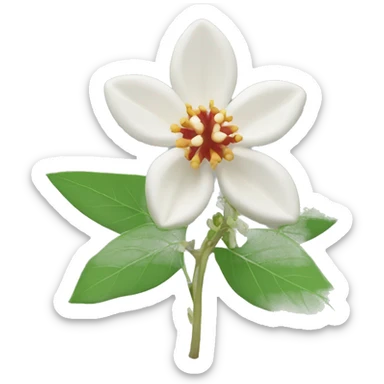 ashwagandha flower sticker