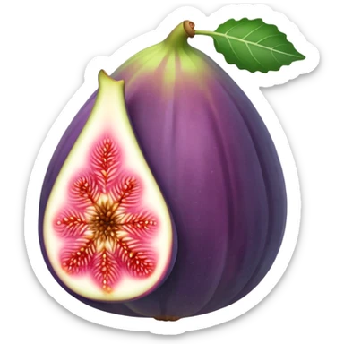 Figs sticker