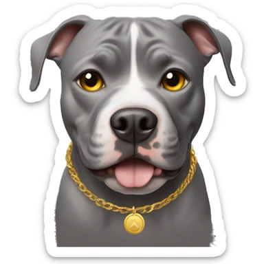 grey pitbull with gold eyes sticker
