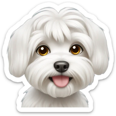 Maltese with cute sticker