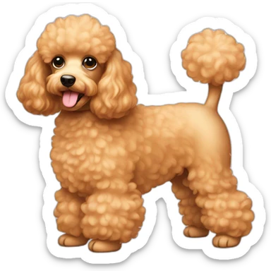 Dog poodle apricot sticker