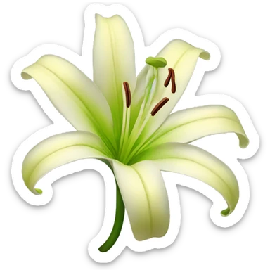 Lily Flower sticker