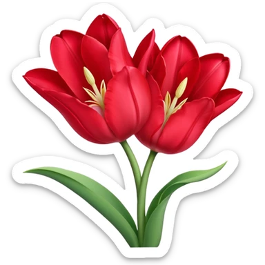 tulip flower entwined with an amaryllis flower sticker