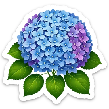 Hydrangea sticker