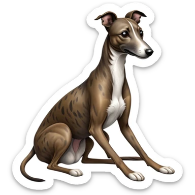 cinematic-[brindle greyhound]-realistic-full-body-sitting-emoji,-tail-resting-loosely-beside-its-paws,-head-tilted-dramatically, -sleek-[dark brindle]-fur,-simplified-yet-realistic-focused-features,-highly-detailed,-glowing-with-an-almost-sarcastic-glow sticker
