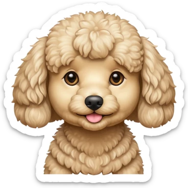 Cute beige malti poodle sticker
