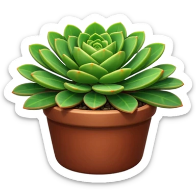 crassula sticker
