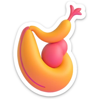 stomach, simple and smooth sticker