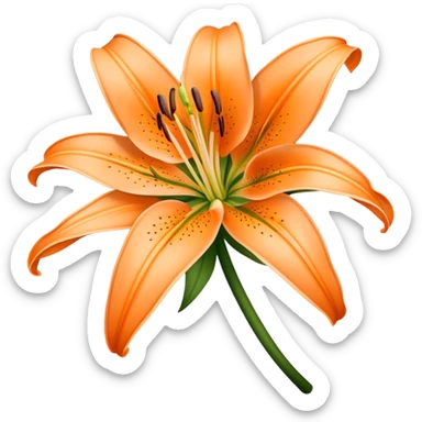 Pale orange lilium sticker