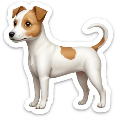 a full body white parson russell looking dog the size of a kelpie with light brown ears and a light brown patch on one eye and a large snout sticker