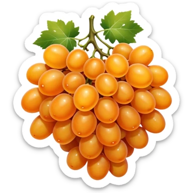 orange grapes sticker