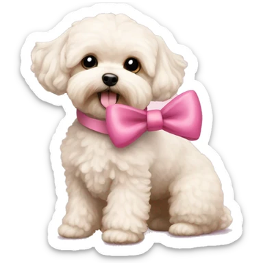 Maltipoo with a pink bow sticker